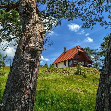 Cottage Vodice Zlatibor Zewnętrze zdjęcie