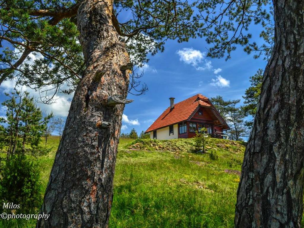 Cottage Vodice Zlatibor Zewnętrze zdjęcie