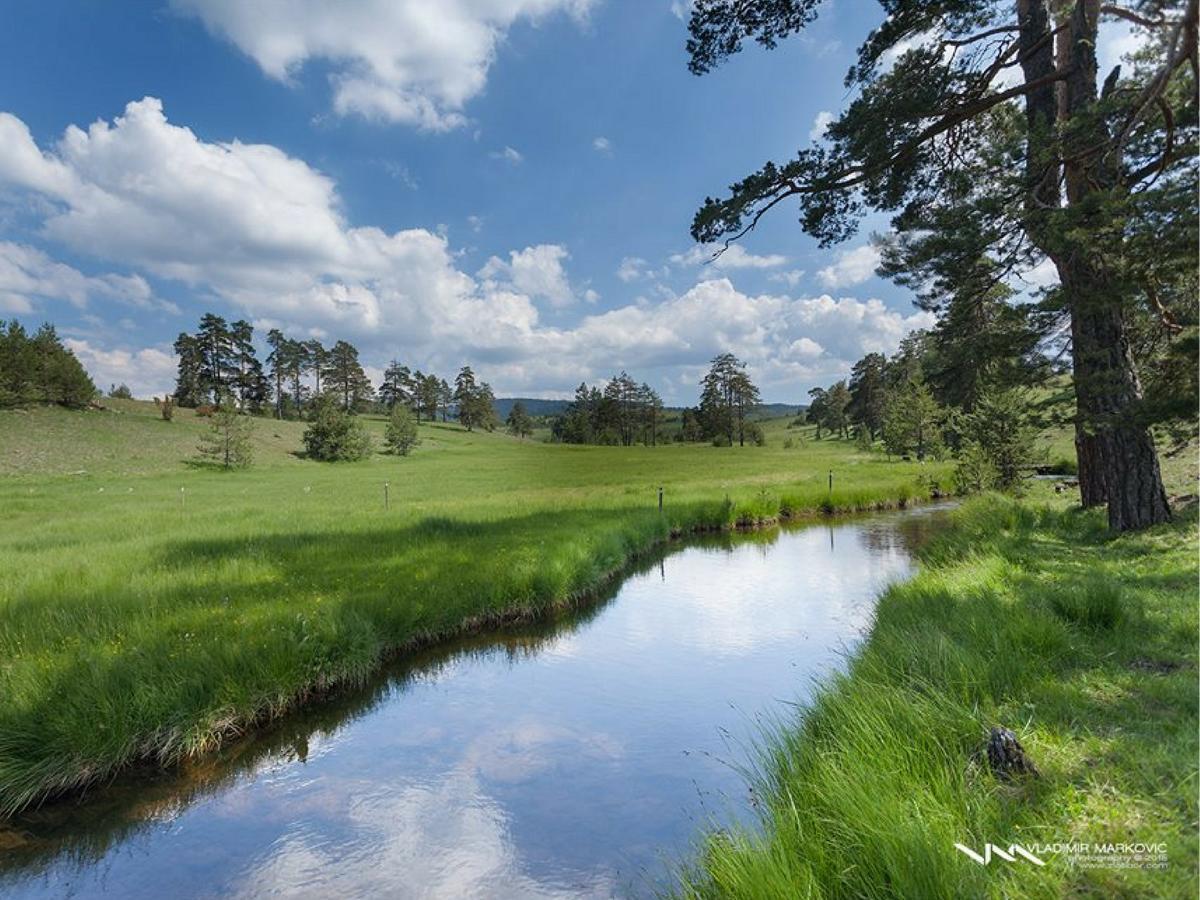 Cottage Vodice Zlatibor Zewnętrze zdjęcie