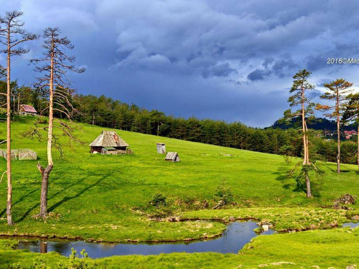 Cottage Vodice Zlatibor Zewnętrze zdjęcie