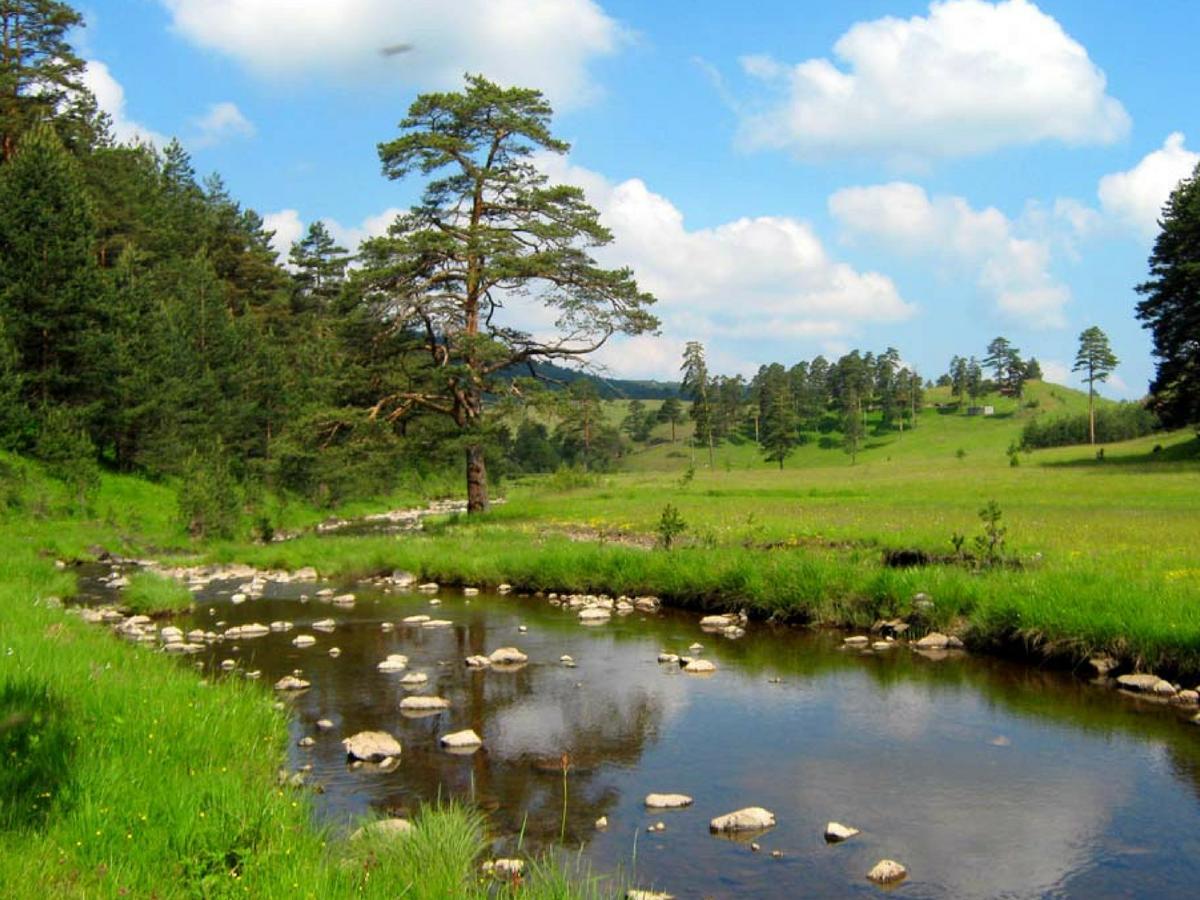 Cottage Vodice Zlatibor Zewnętrze zdjęcie