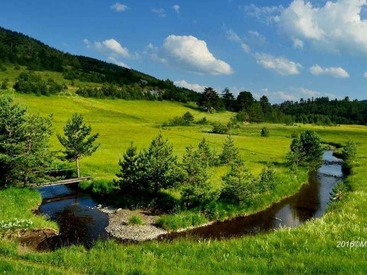 Cottage Vodice Zlatibor Zewnętrze zdjęcie