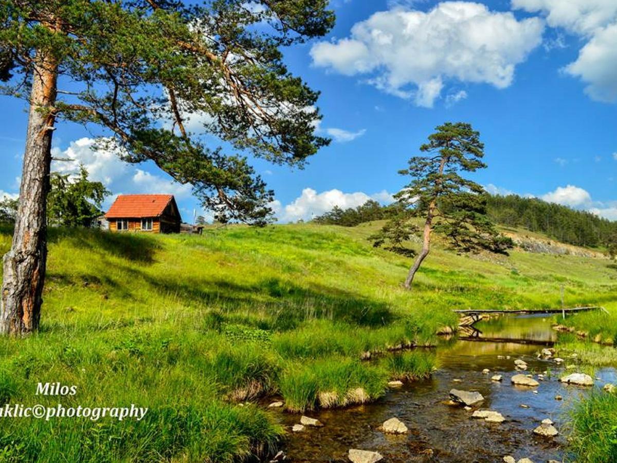 Cottage Vodice Zlatibor Zewnętrze zdjęcie