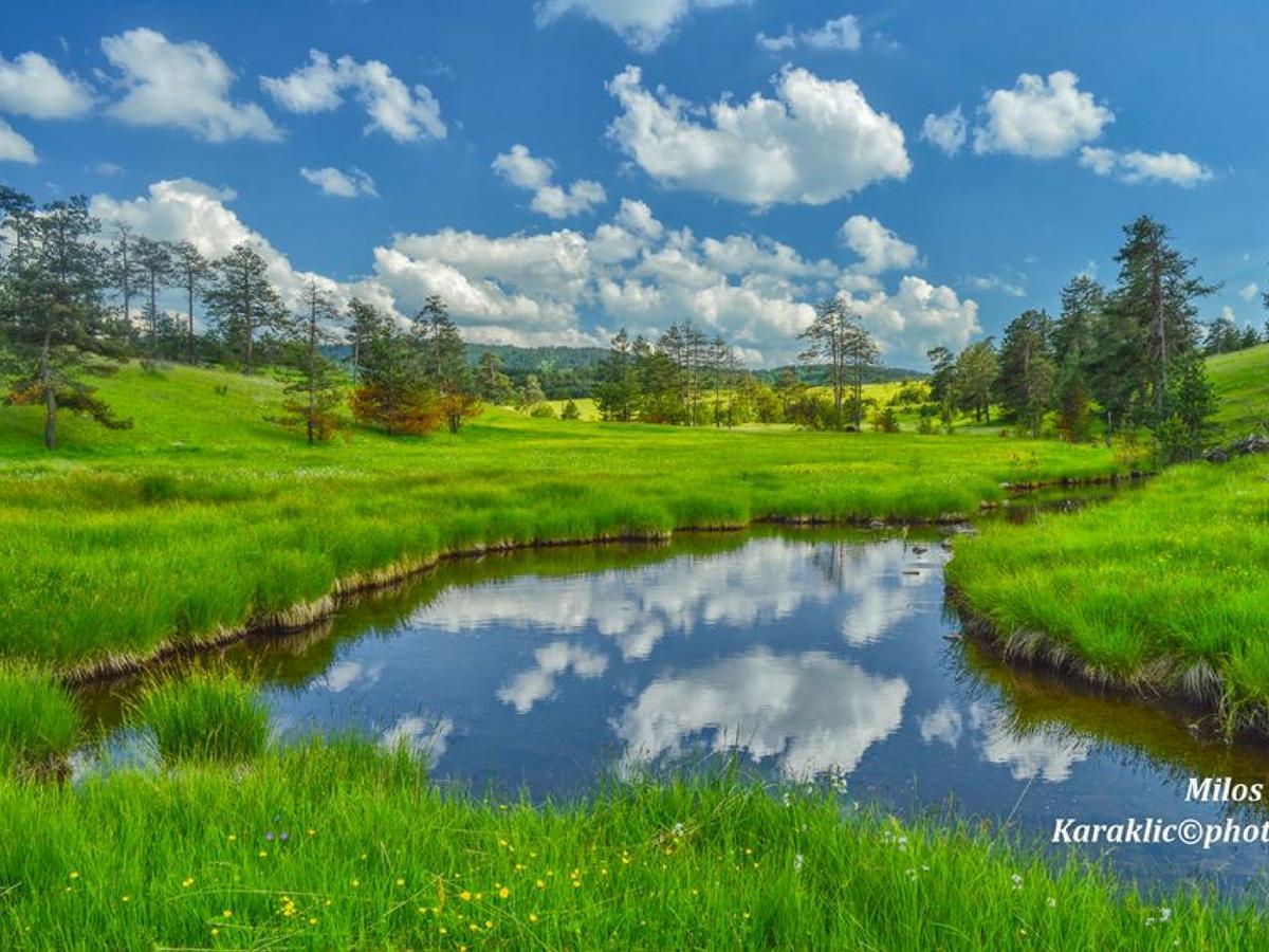 Cottage Vodice Zlatibor Zewnętrze zdjęcie